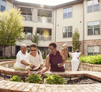 Legacy at Walton Lakes Vegetable Garden